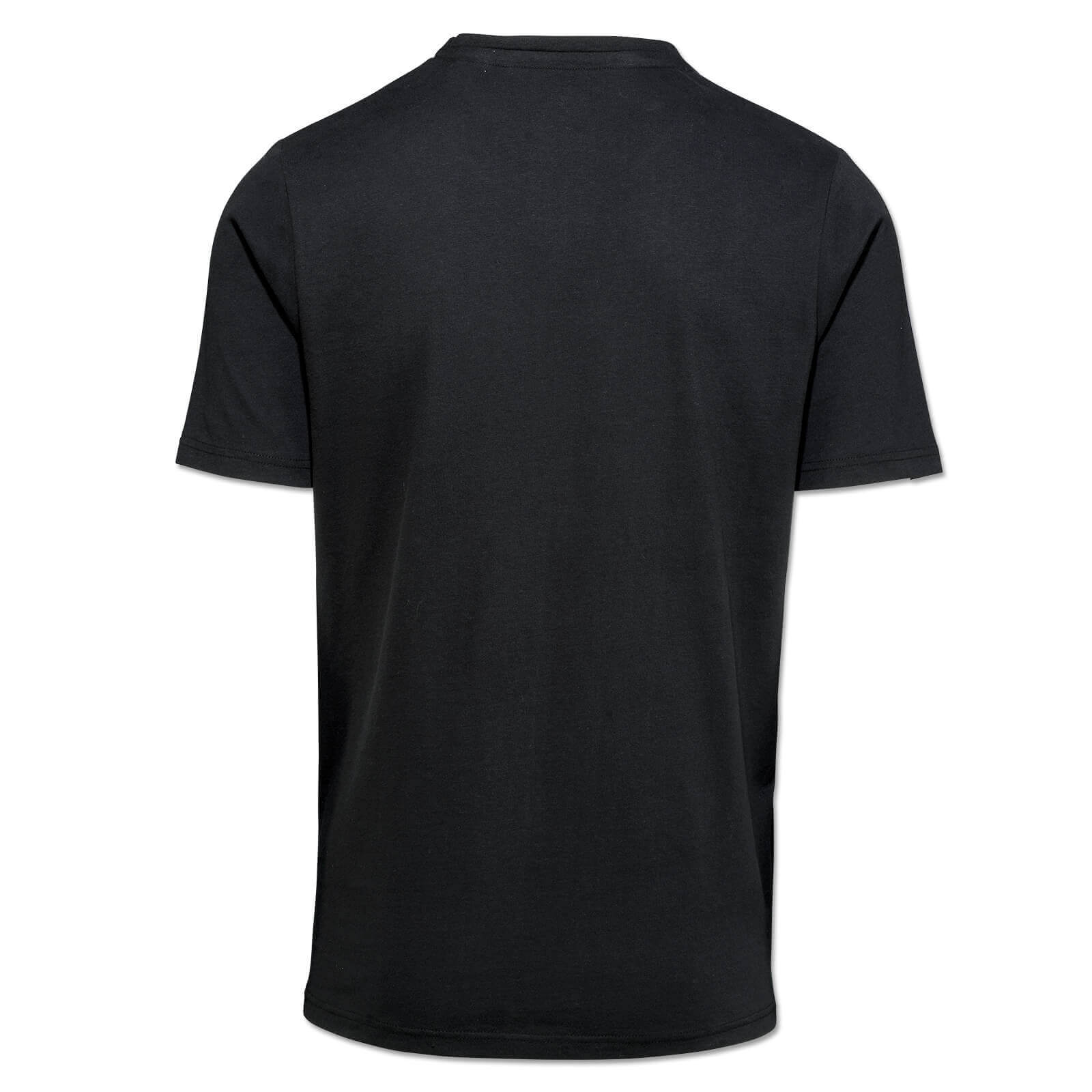 Borussia Dortmund T-Shirt "1909%" - grau