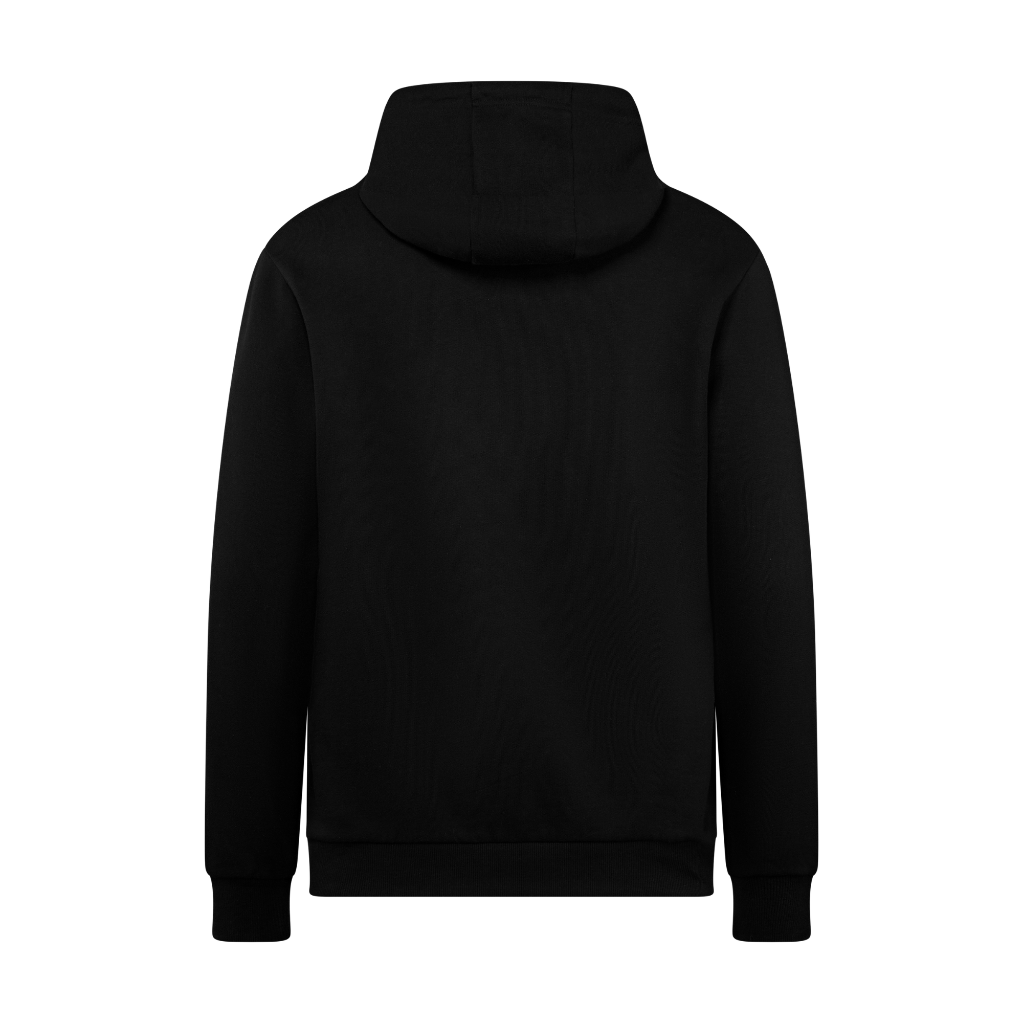 Red Bull Racing Racing Tonal Hoodie Schwarz