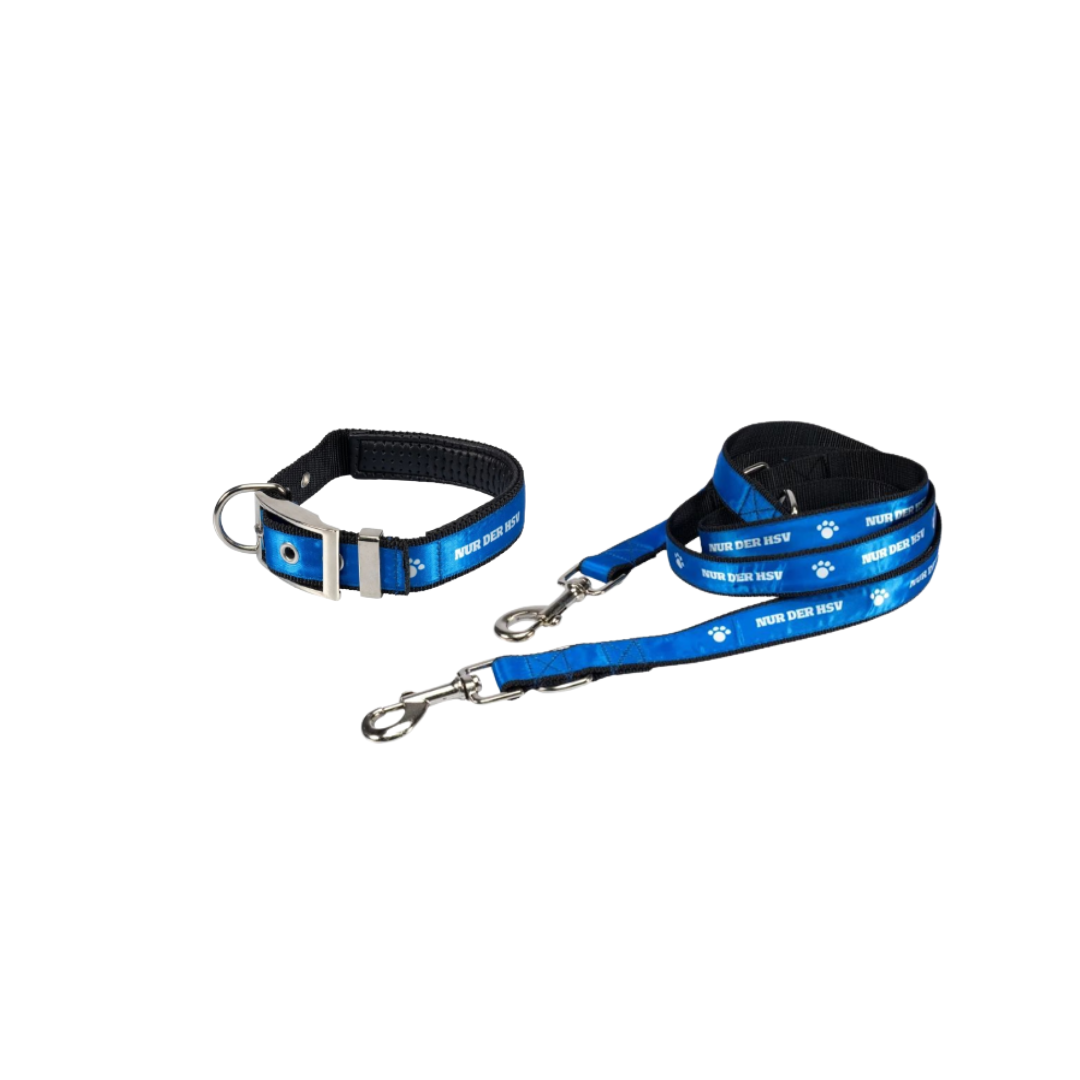 HSV Hundeleine 160-170cm + HSV Hundehalsband 40-50 cm - Set