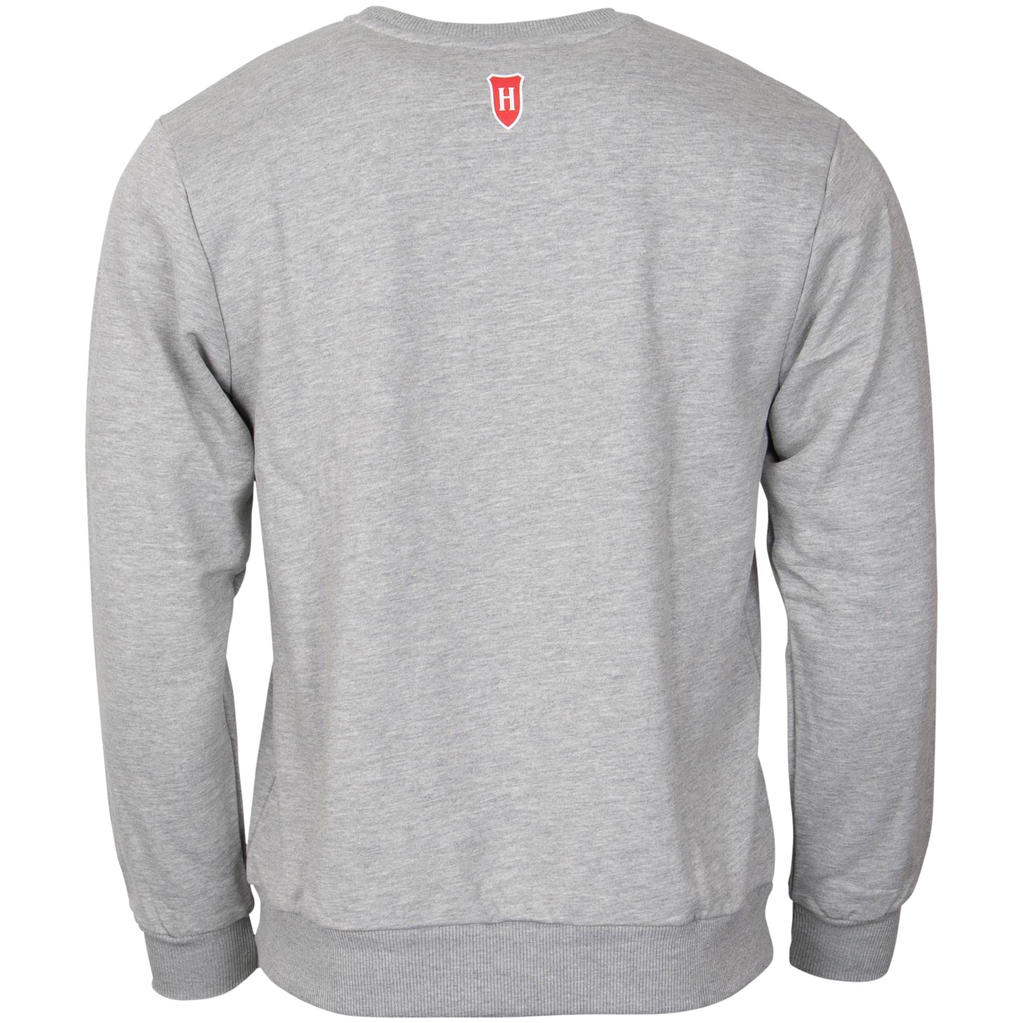 Holsten - Sweatshirt 3D Ritter - grau