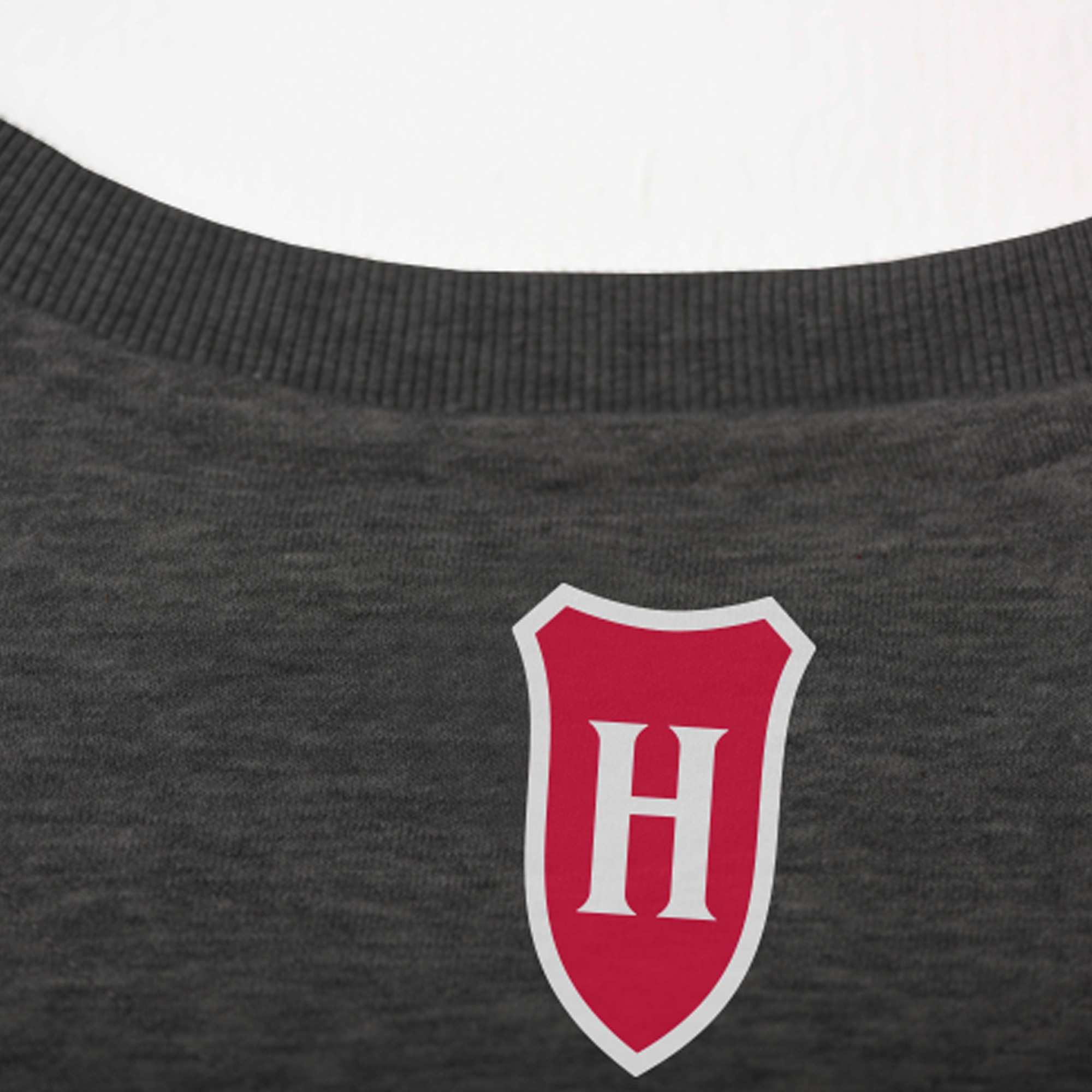Holsten - T-Shirt Seit 1879 - anthrazit